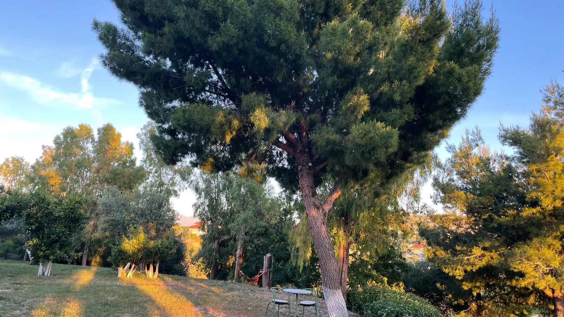 Harmonia Guest House Vlorë
